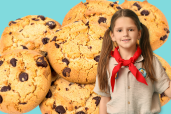 New Year & New Events at The Street Fair